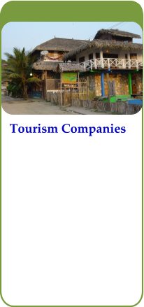 Tourism Companies